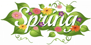 Spring Fling Planning Meeting March 16